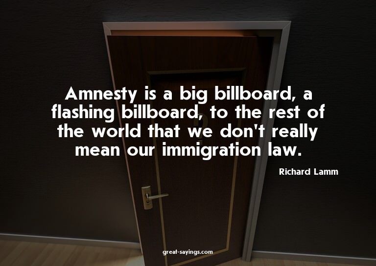 Amnesty is a big billboard, a flashing billboard, to th