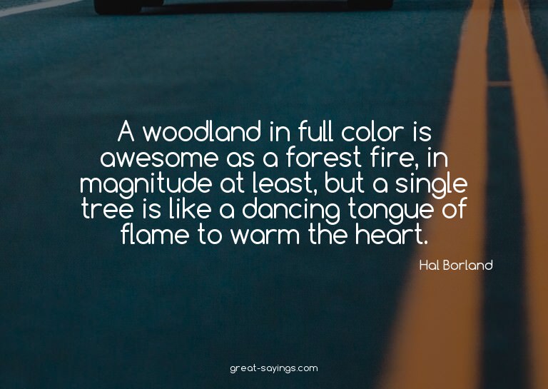 A woodland in full color is awesome as a forest fire, i