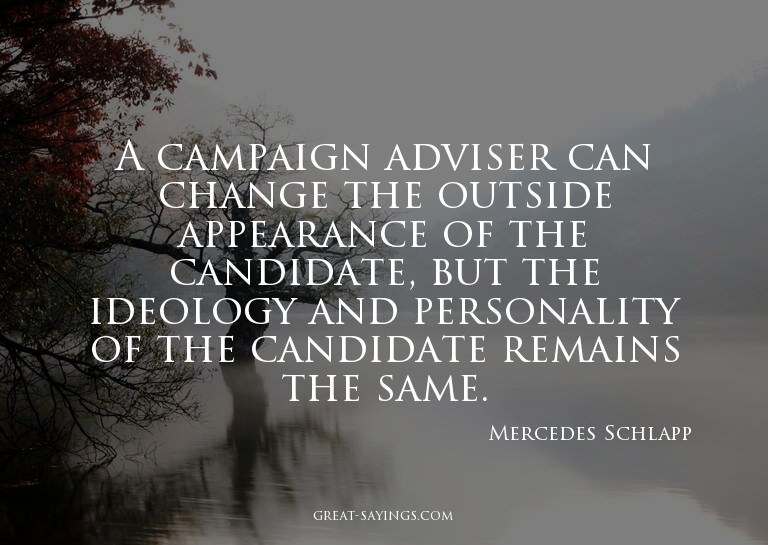 A campaign adviser can change the outside appearance of