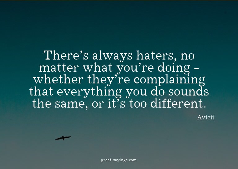 There's always haters, no matter what you're doing - wh