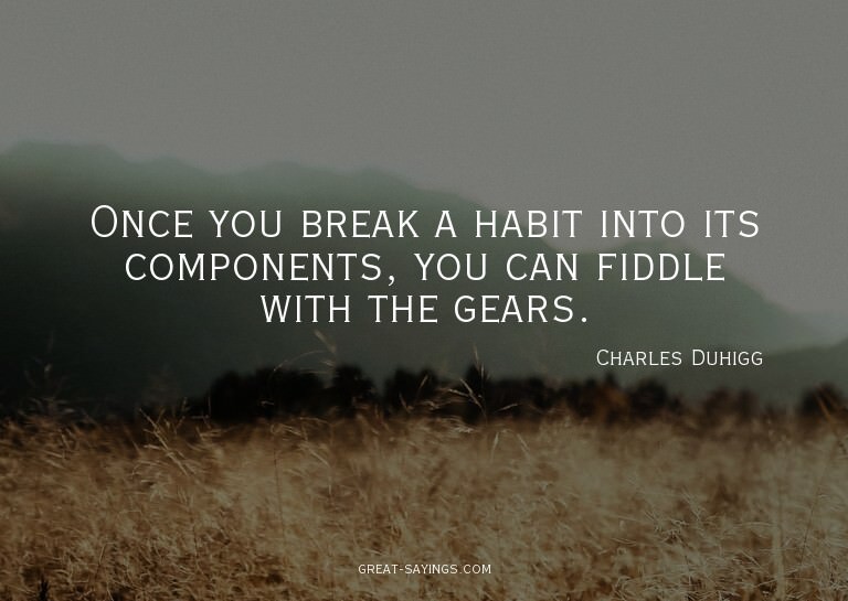 Once you break a habit into its components, you can fid