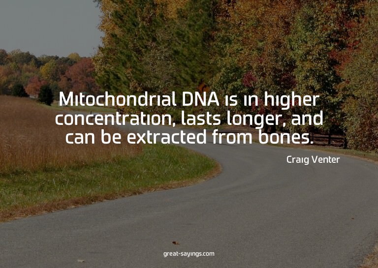Mitochondrial DNA is in higher concentration, lasts lon