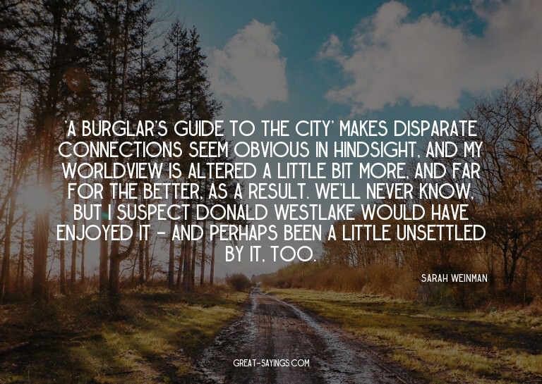 'A Burglar's Guide to the City' makes disparate connect