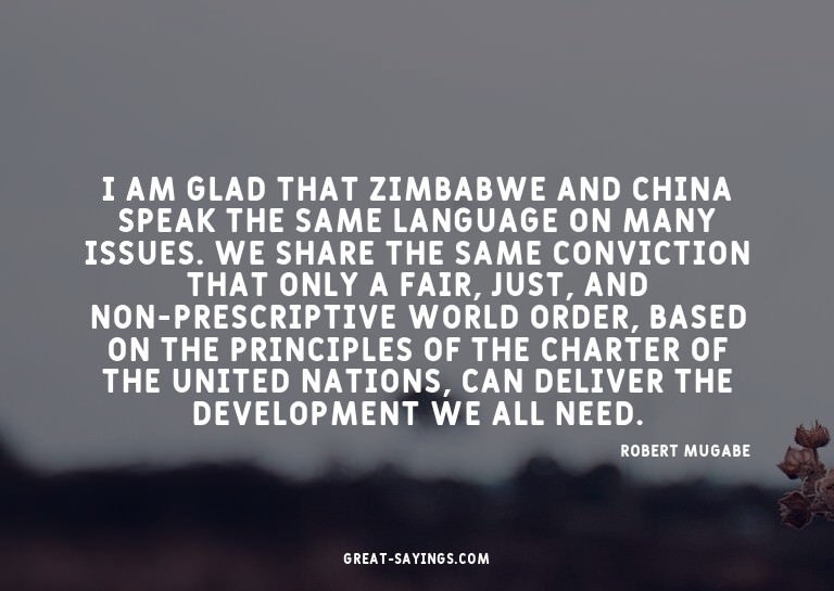 I am glad that Zimbabwe and China speak the same langua