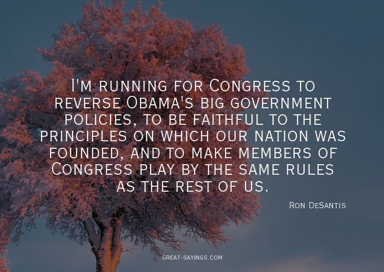 I'm running for Congress to reverse Obama's big governm