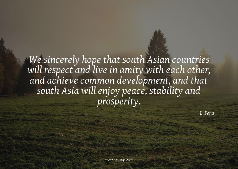 We sincerely hope that south Asian countries will respe