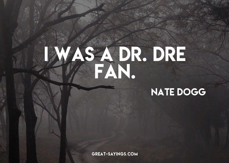 I was a Dr. Dre fan.

