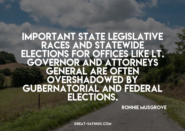 Important state legislative races and statewide electio