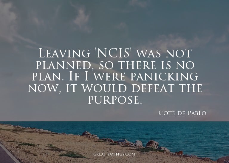 Leaving 'NCIS' was not planned, so there is no plan. If