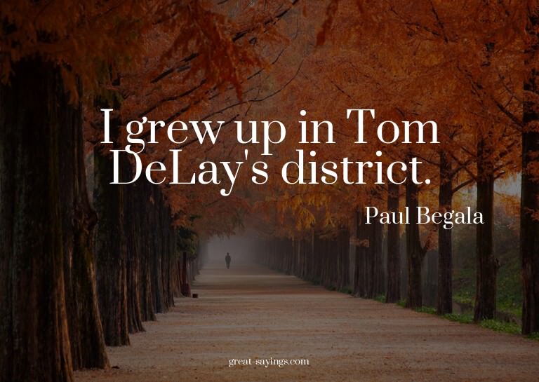 I grew up in Tom DeLay's district.

