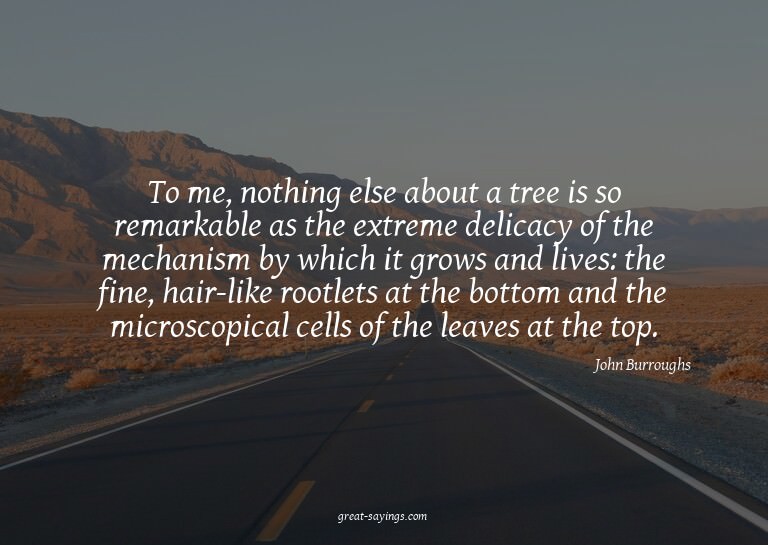 To me, nothing else about a tree is so remarkable as th