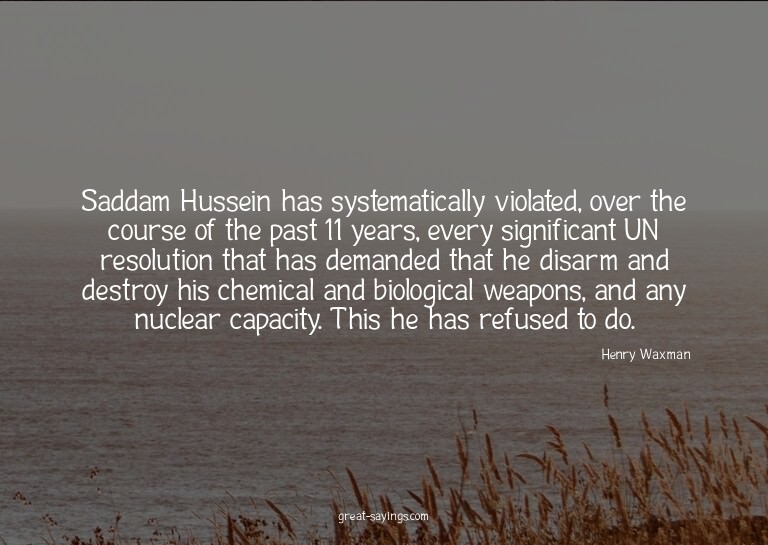 Saddam Hussein has systematically violated, over the co
