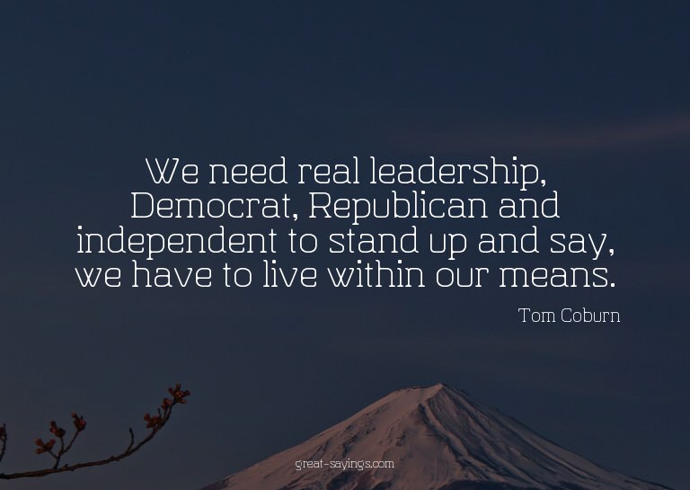 We need real leadership, Democrat, Republican and indep