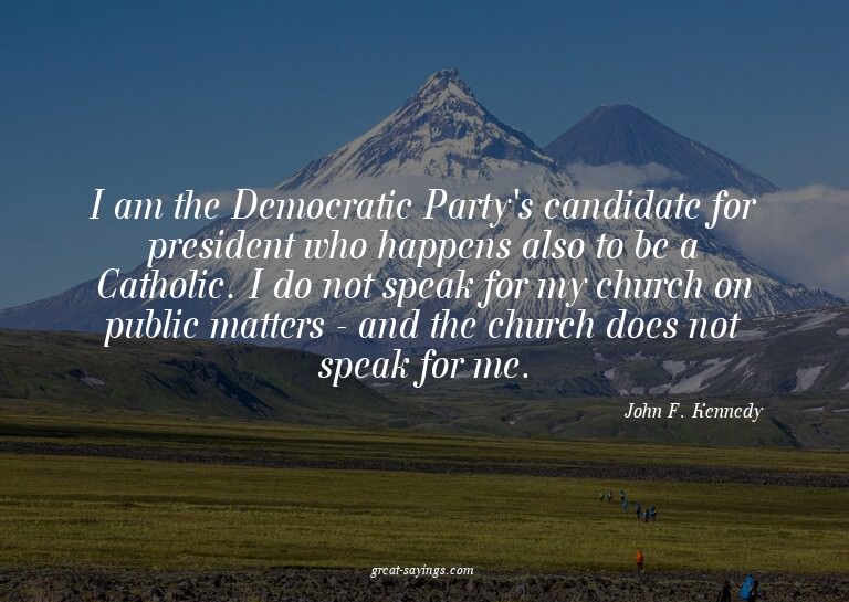I am the Democratic Party's candidate for president who