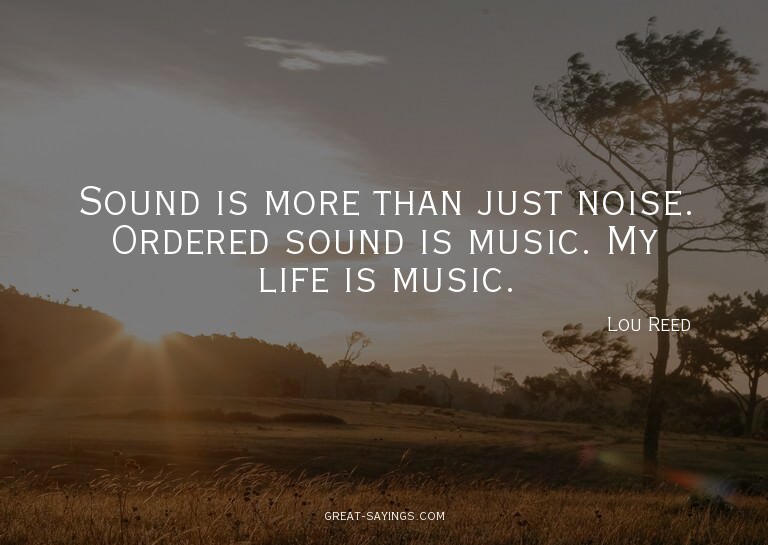 Sound is more than just noise. Ordered sound is music.