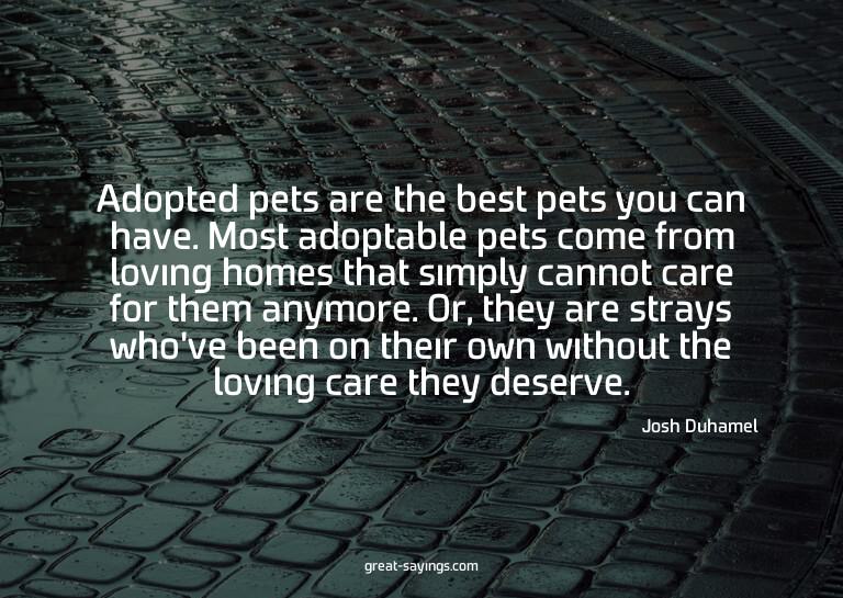 Adopted pets are the best pets you can have. Most adopt