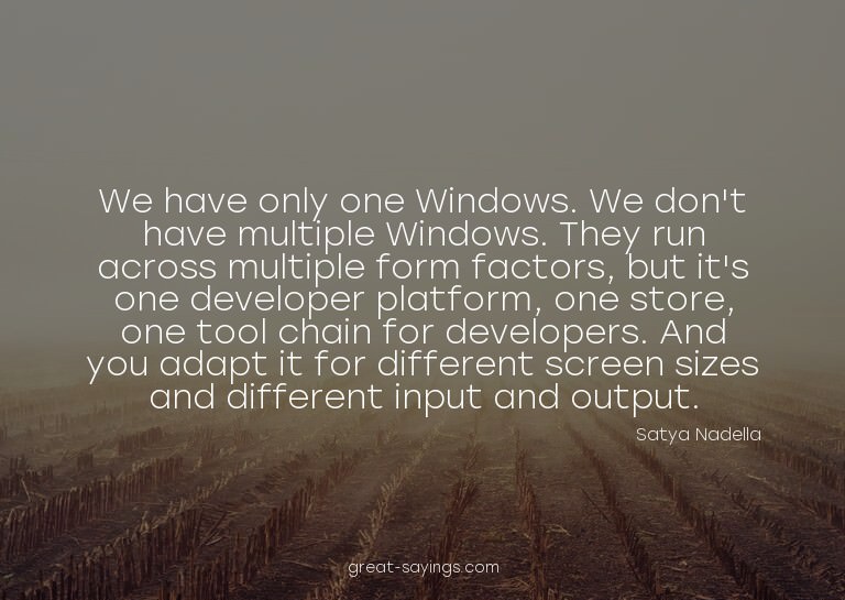 We have only one Windows. We don't have multiple Window