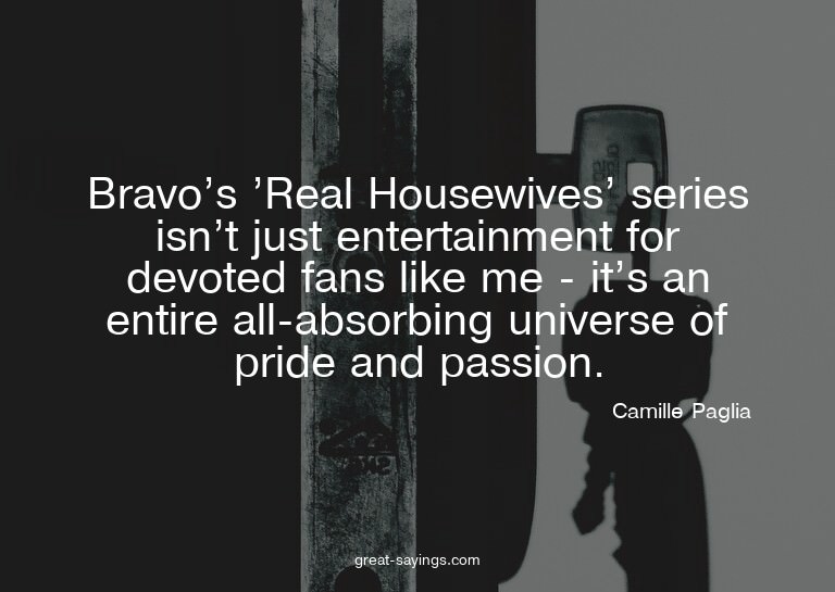 Bravo's 'Real Housewives' series isn't just entertainme