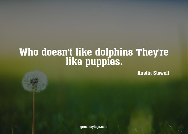 Who doesn't like dolphins? They're like puppies.

