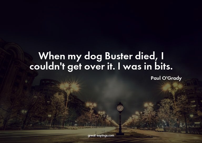When my dog Buster died, I couldn't get over it. I was
