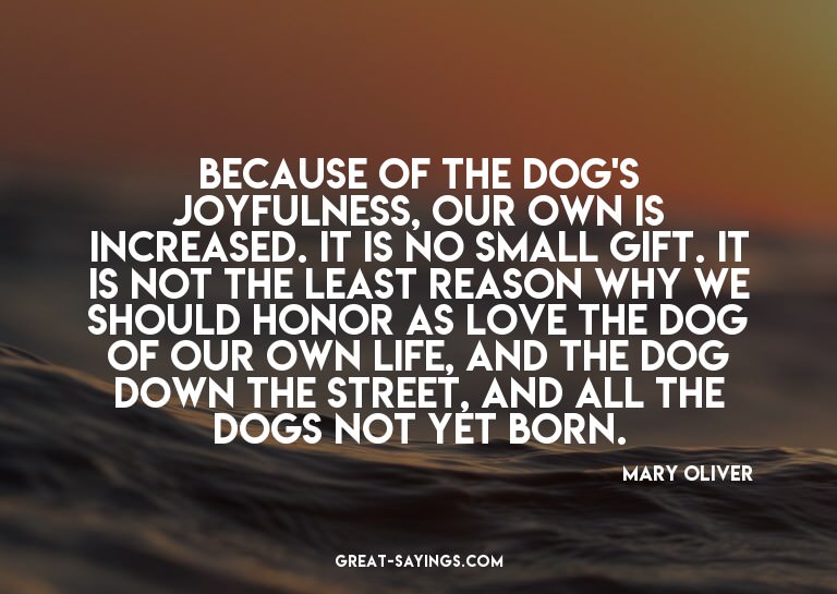 Because of the dog's joyfulness, our own is increased.