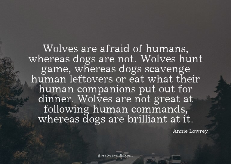 Wolves are afraid of humans, whereas dogs are not. Wolv