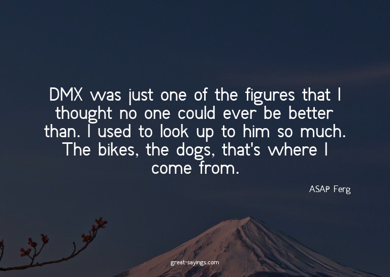 DMX was just one of the figures that I thought no one c