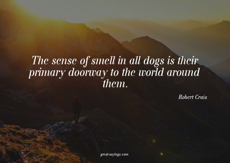 The sense of smell in all dogs is their primary doorway
