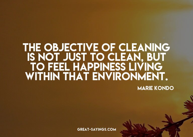 The objective of cleaning is not just to clean, but to