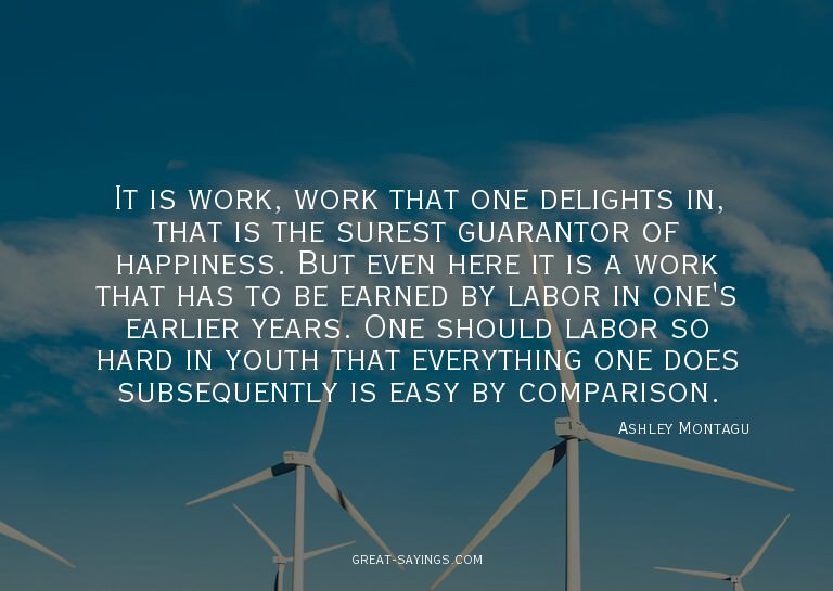 It is work, work that one delights in, that is the sure