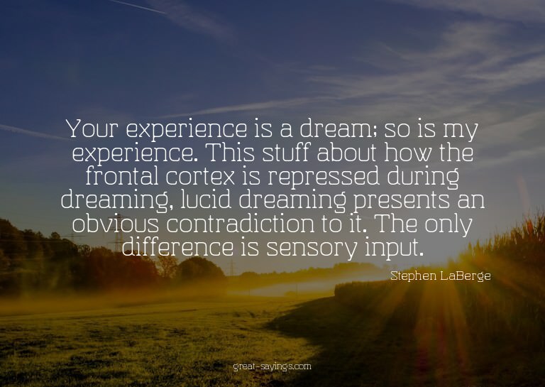 Your experience is a dream; so is my experience. This s