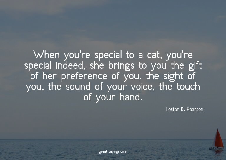 When you're special to a cat, you're special indeed, sh