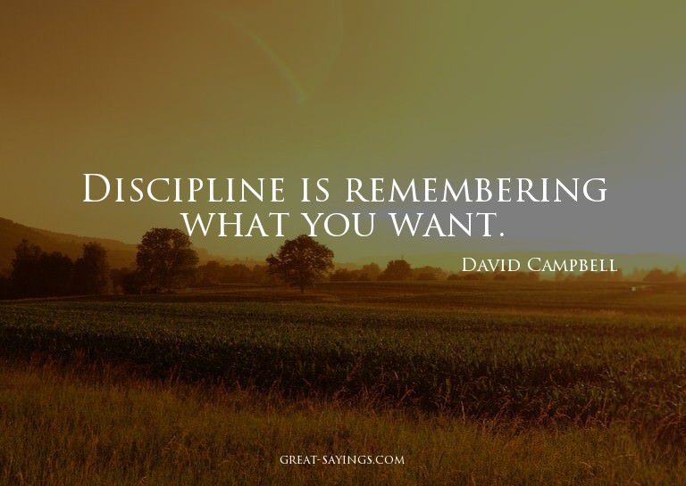 Discipline is remembering what you want.

