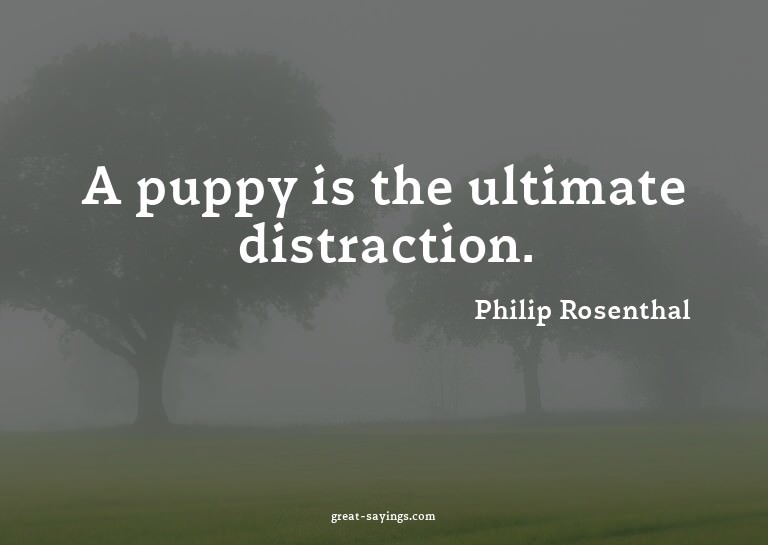 A puppy is the ultimate distraction.

