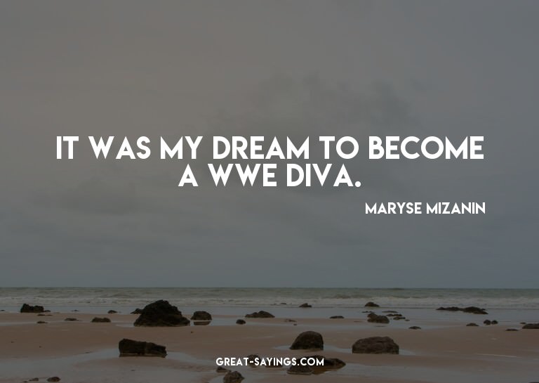 It was my dream to become a WWE Diva.

