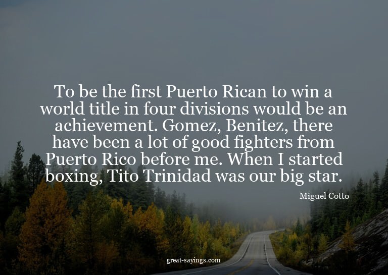 To be the first Puerto Rican to win a world title in fo