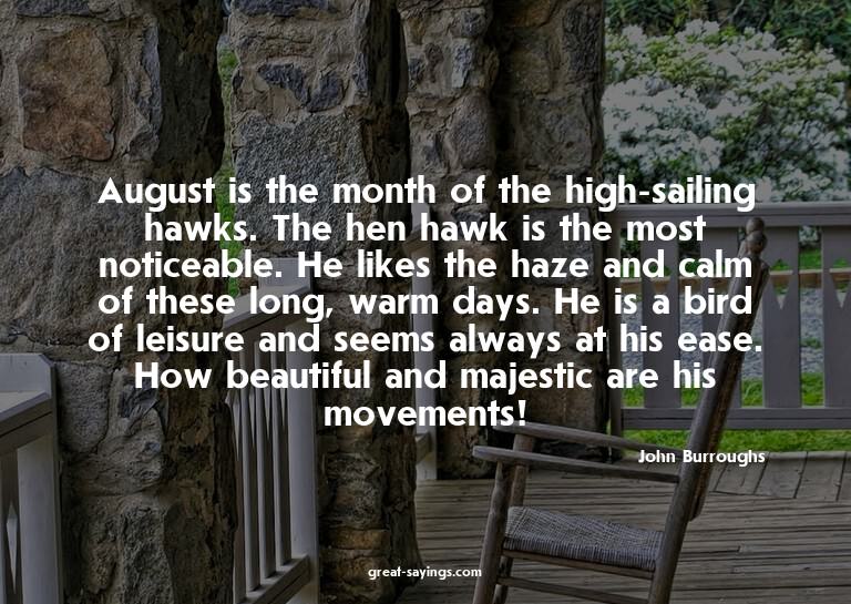 August is the month of the high-sailing hawks. The hen