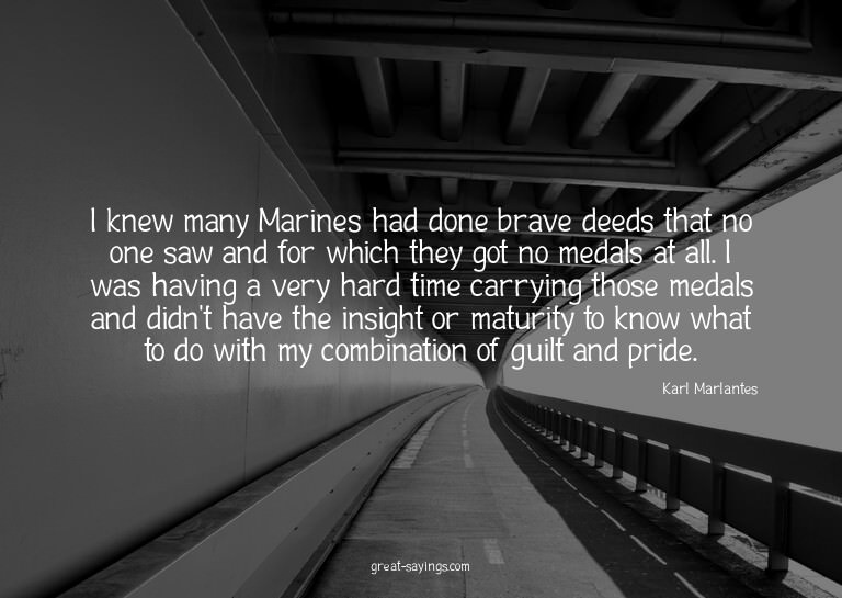I knew many Marines had done brave deeds that no one sa