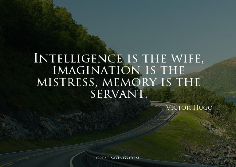Intelligence is the wife, imagination is the mistress,