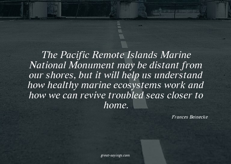 The Pacific Remote Islands Marine National Monument may