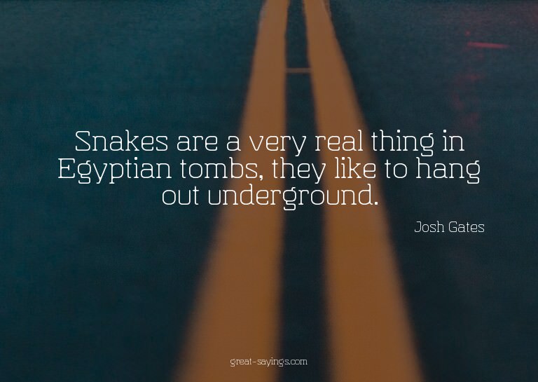 Snakes are a very real thing in Egyptian tombs, they li