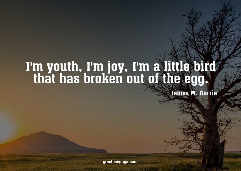 I'm youth, I'm joy, I'm a little bird that has broken o