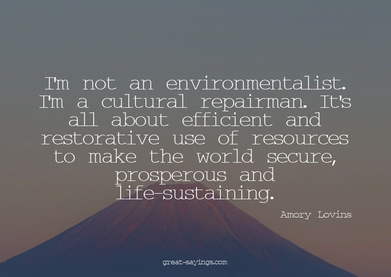 I'm not an environmentalist. I'm a cultural repairman.