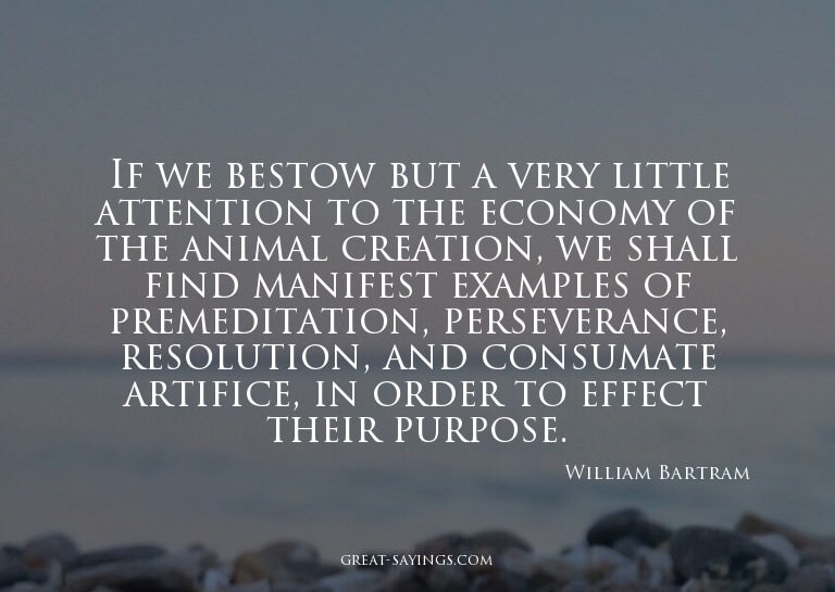If we bestow but a very little attention to the economy