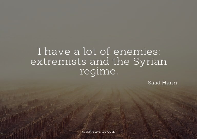 I have a lot of enemies: extremists and the Syrian regi