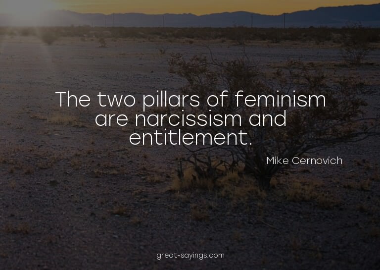 The two pillars of feminism are narcissism and entitlem