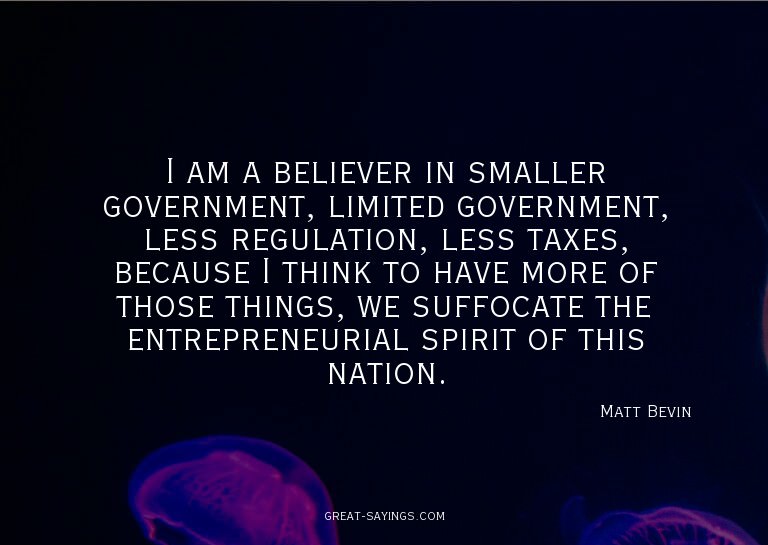 I am a believer in smaller government, limited governme