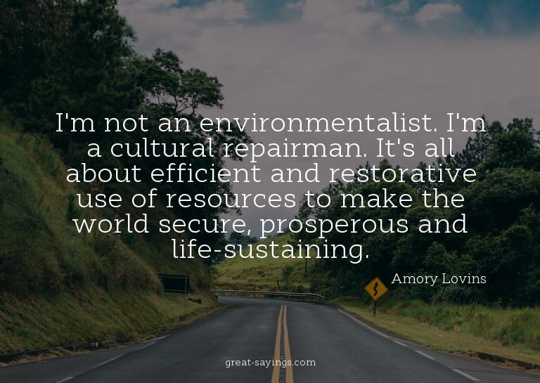 I'm not an environmentalist. I'm a cultural repairman.