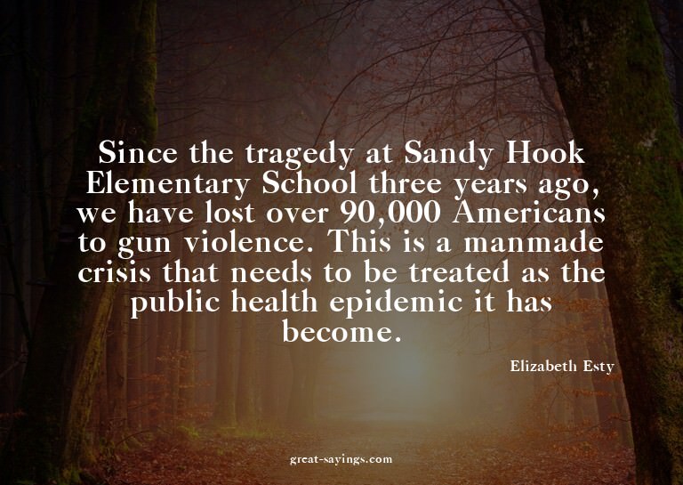 Since the tragedy at Sandy Hook Elementary School three