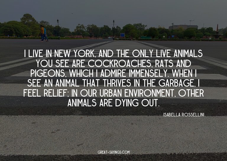I live in New York, and the only live animals you see a